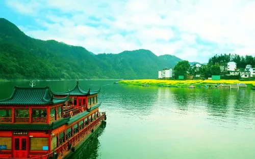 节能电子高端